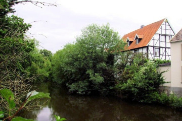 01-28.06. Warendorf